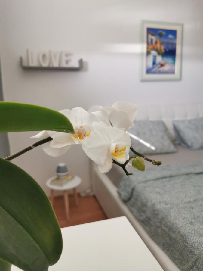 Kenzo Apartment Сен Екстериор снимка